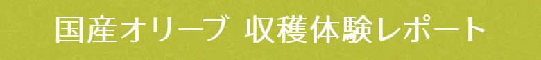 油の達人マガジン