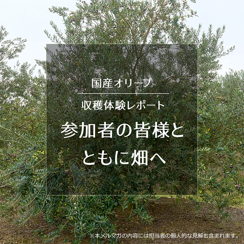 カンタン 油のブレンド術